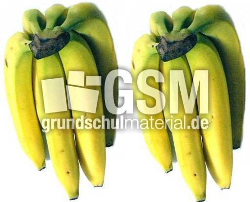 Bananen-2x6.jpg